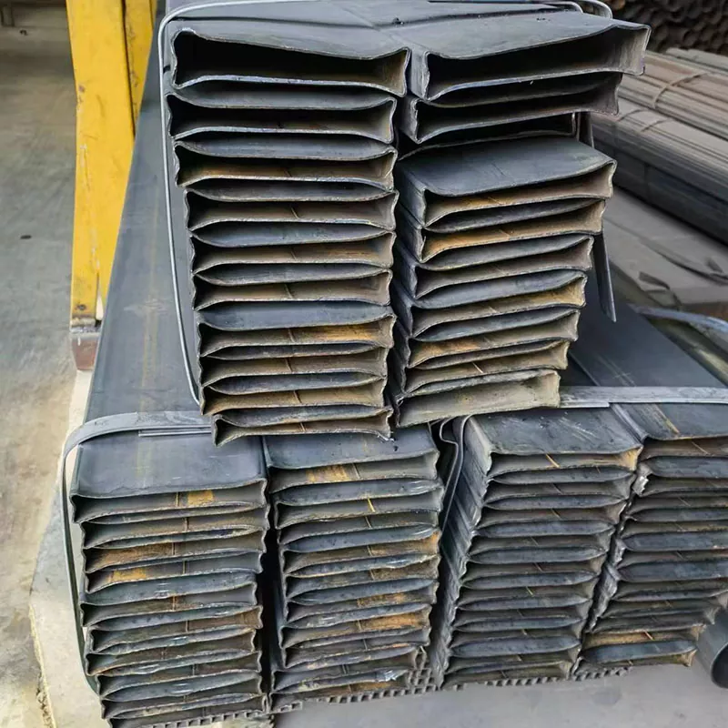 Tenues muratae fistulae